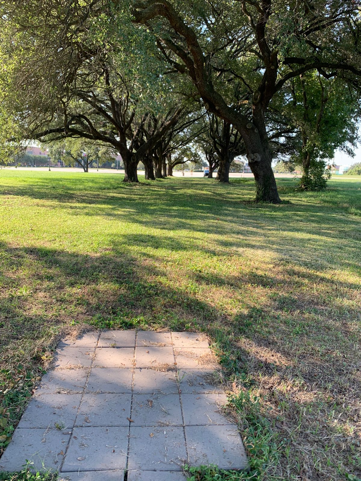 Hole 9. Fun tunnel shot.