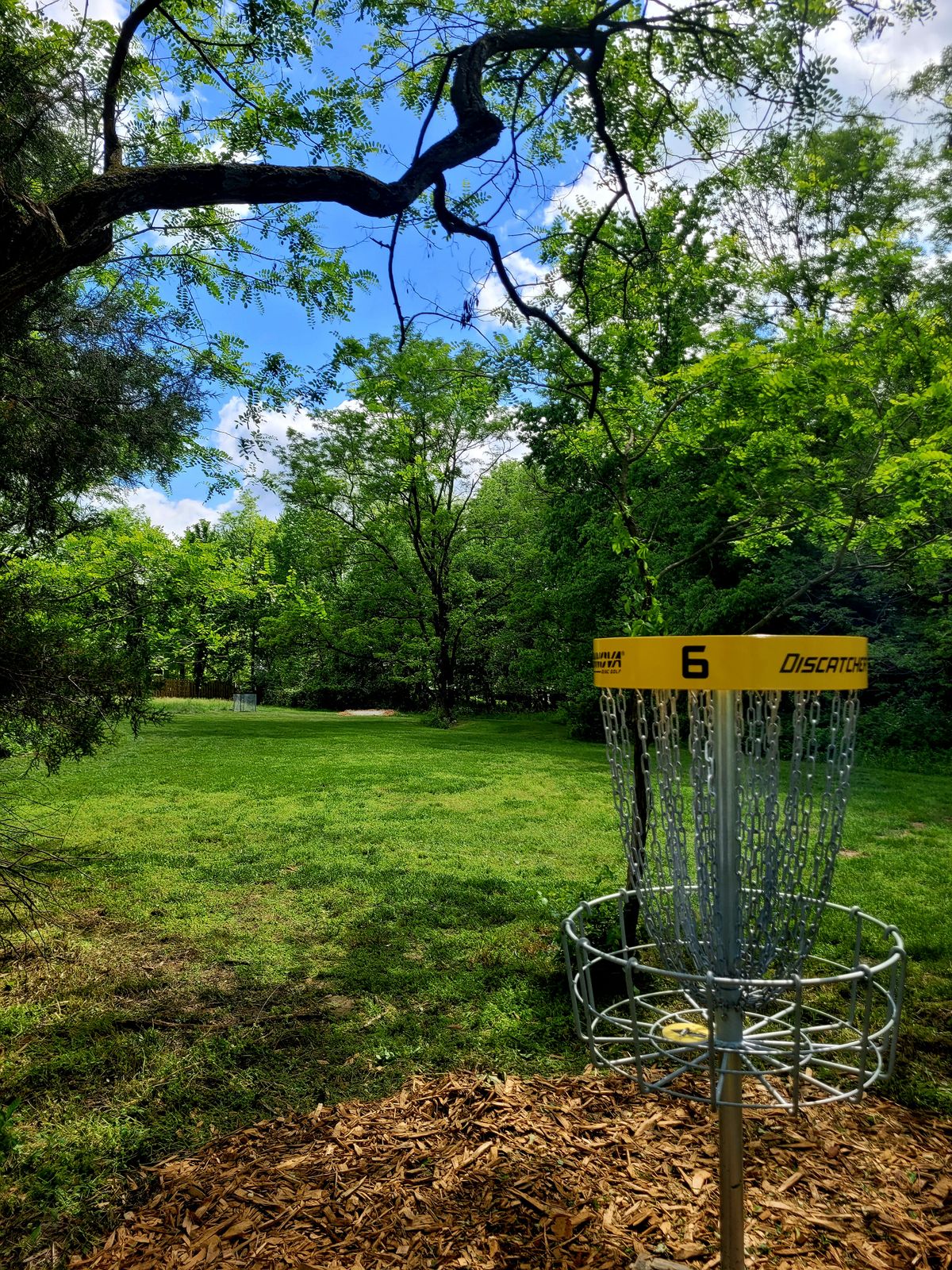 Hole 6
Basket to Tee
