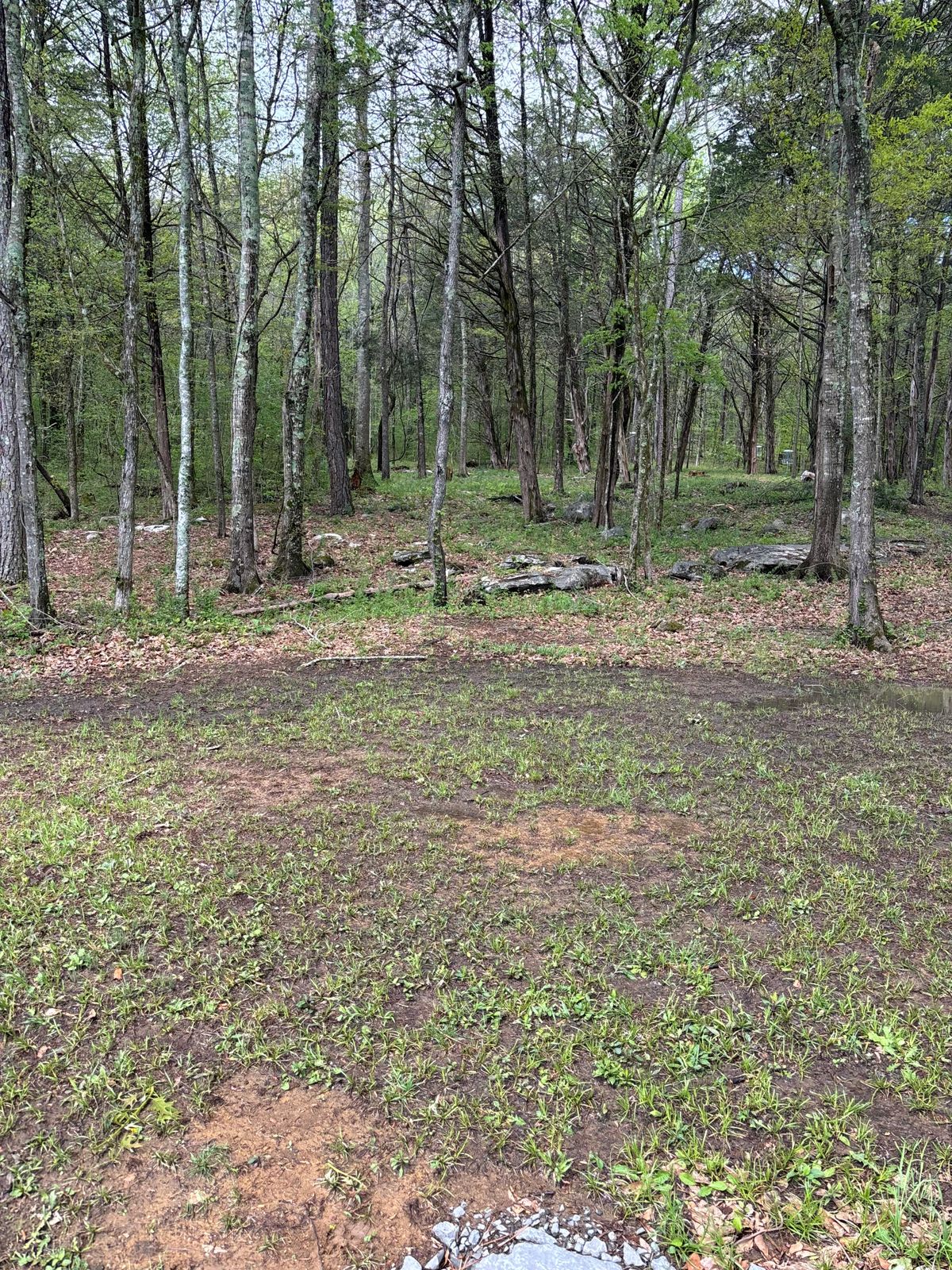 Approach to hole 7 basket