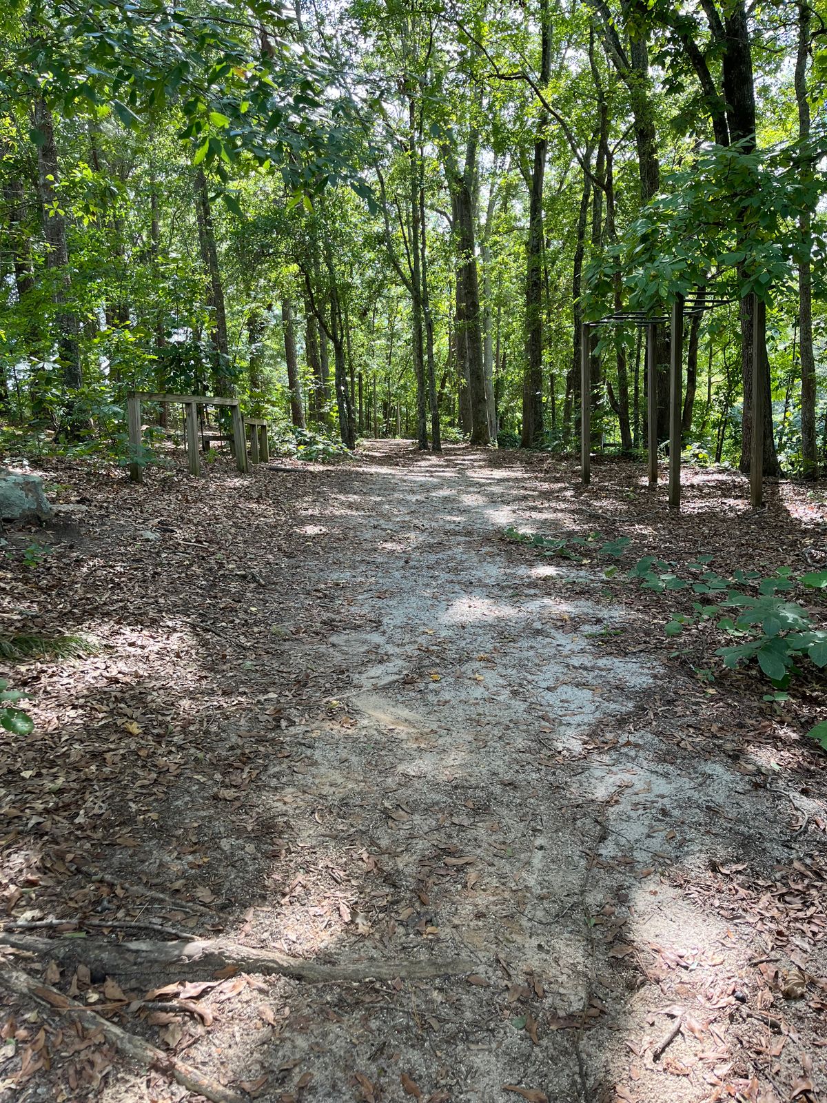 Hole 3 challenges your tee shot to clear two initial trees.