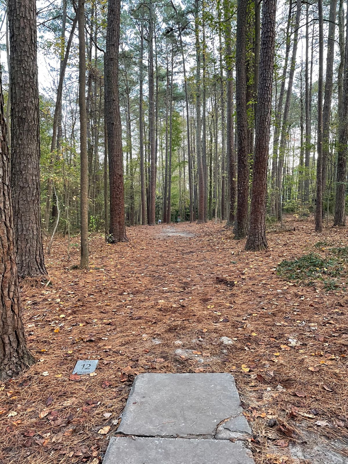 Hole #12 from the tee