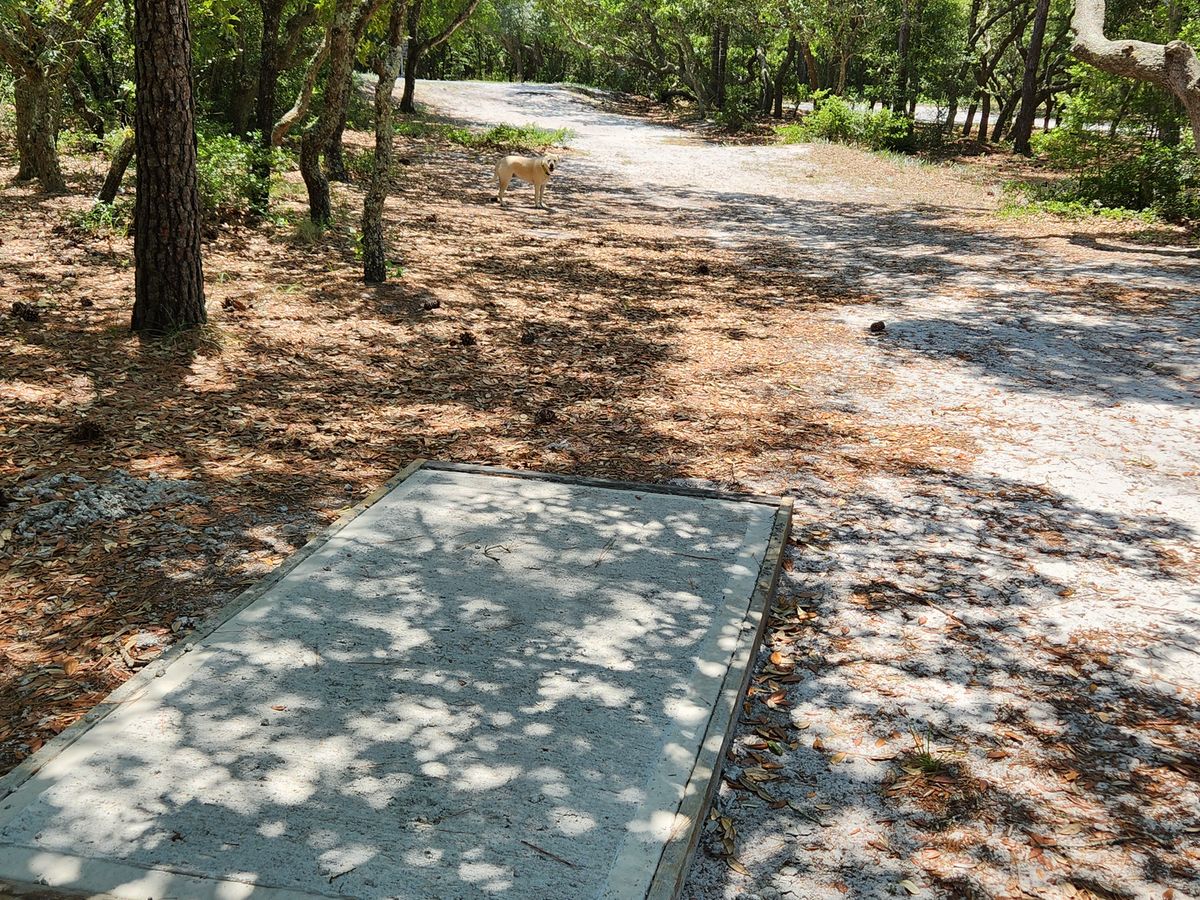 Hole 18 white tee pad