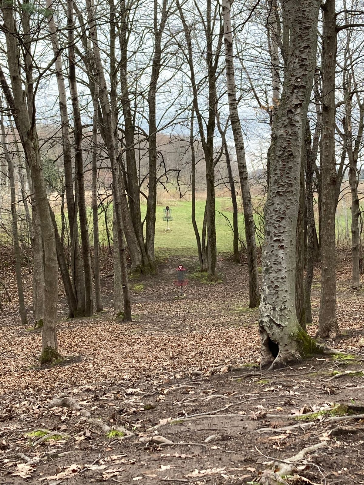 Looking out of the gap on hole ten