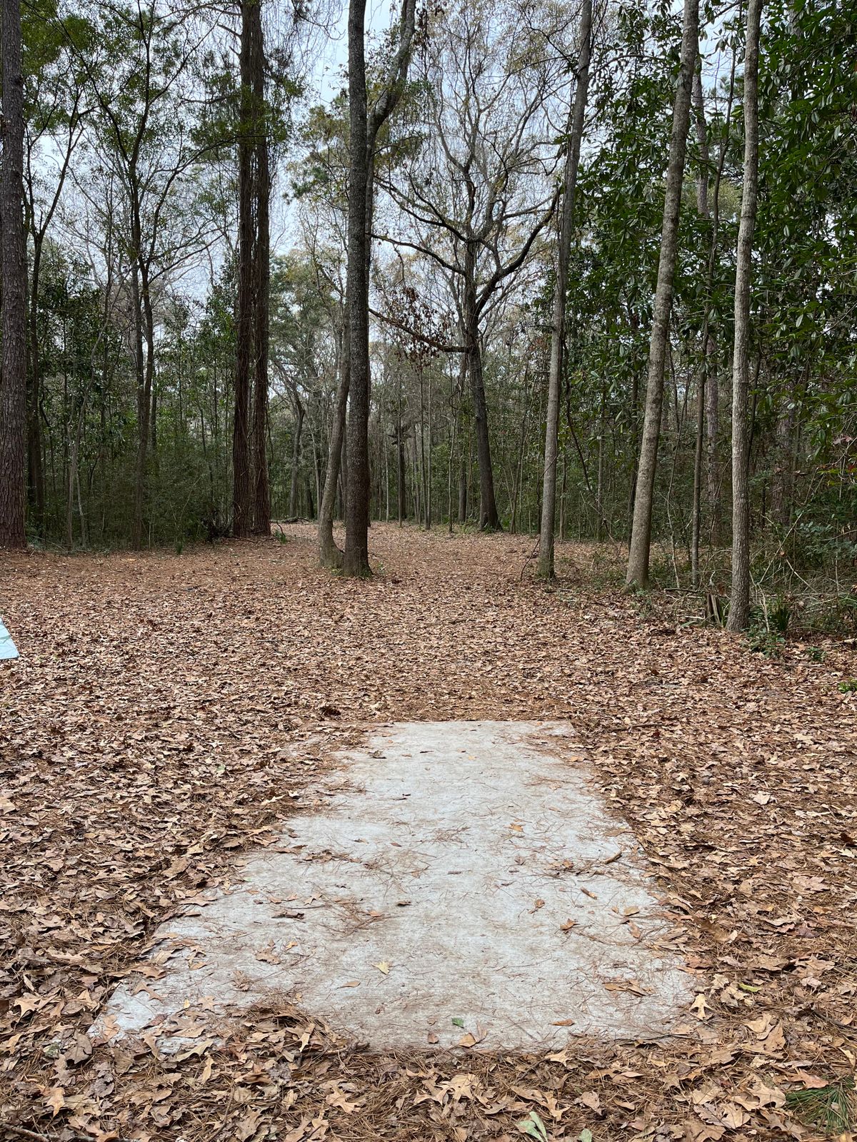 Hole 5 (short)