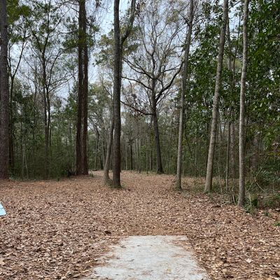 Hole 5 (short)