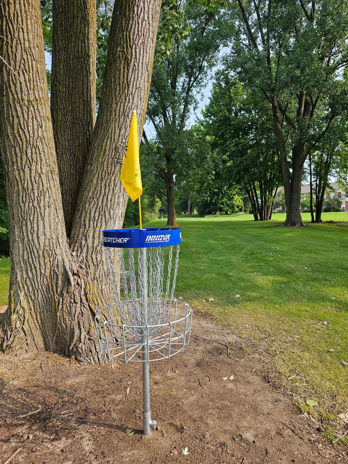 Hole 4 Basket to tee, Mando left of tree on the right side.