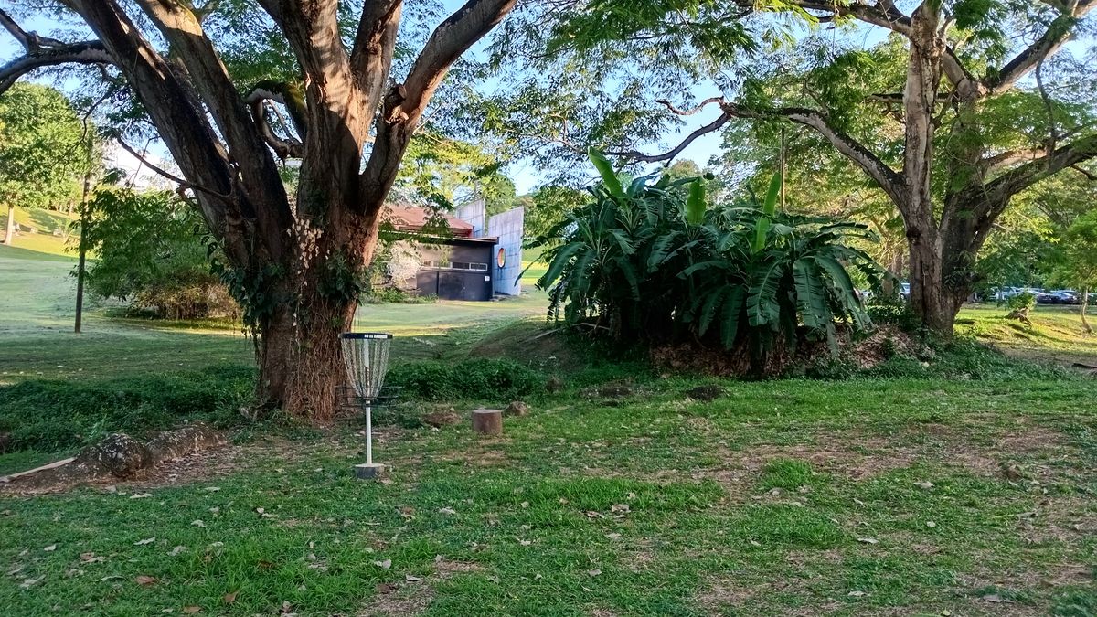 Parque Omar DG Course
Hole 11 Target