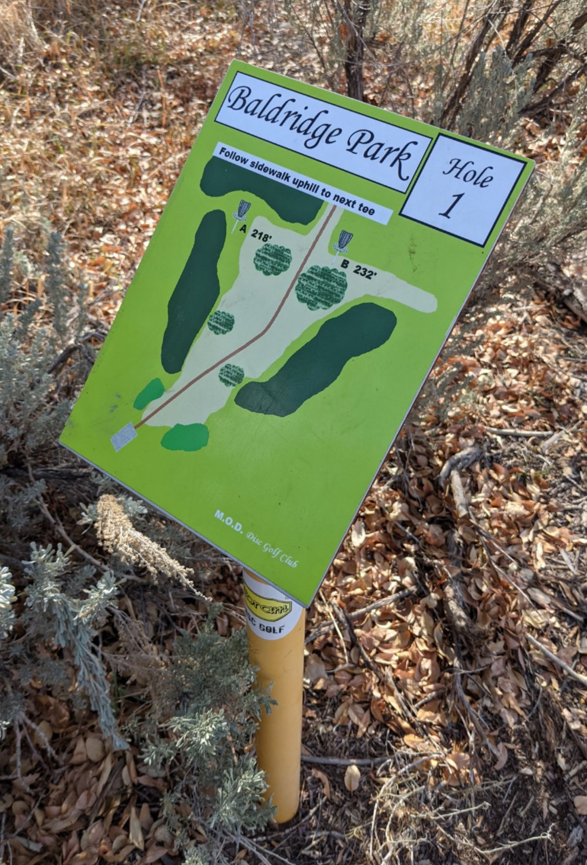 Hole Maps at Tees