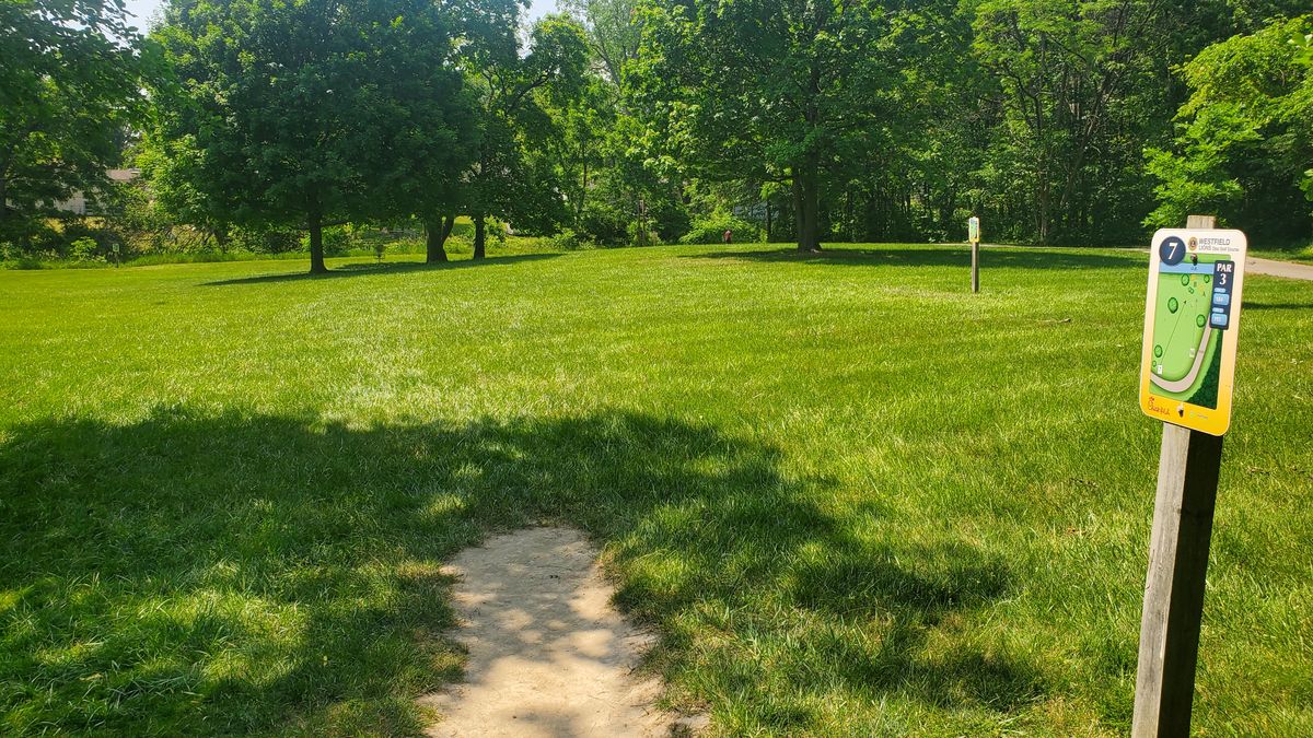 Hole #7