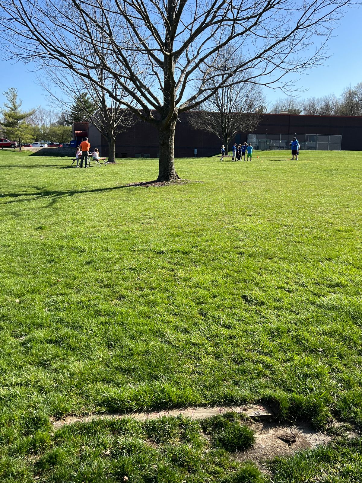 Hole 4 Tee