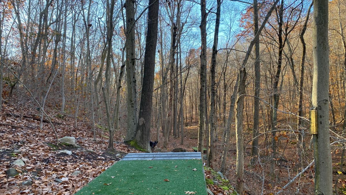 Tee pad of 13