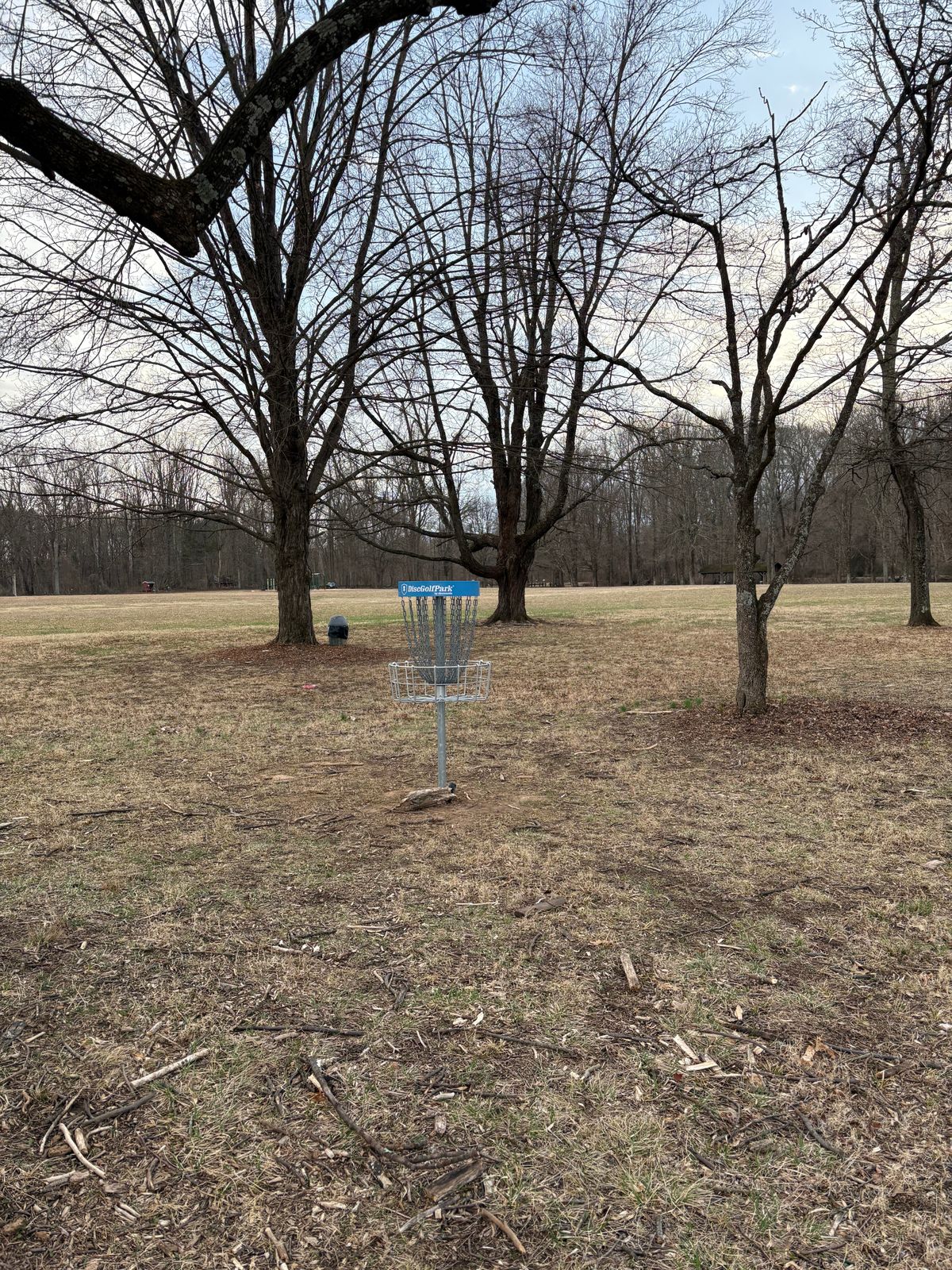Hole 17 is in the cluster of trees straight off the tee. B position marked 75 ft left.