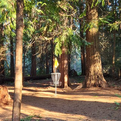 Hole 15 - Basket 