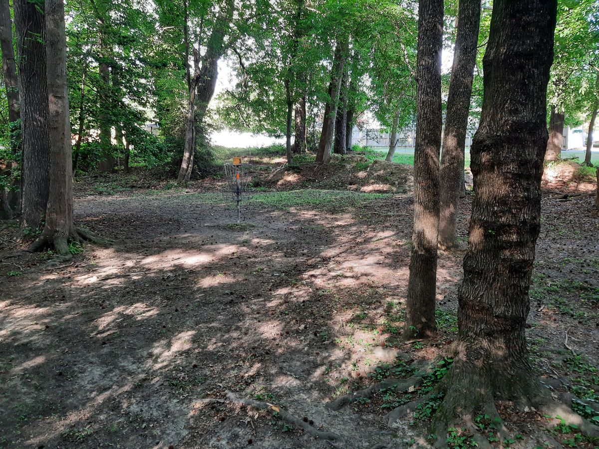 Hole 1 Basket
