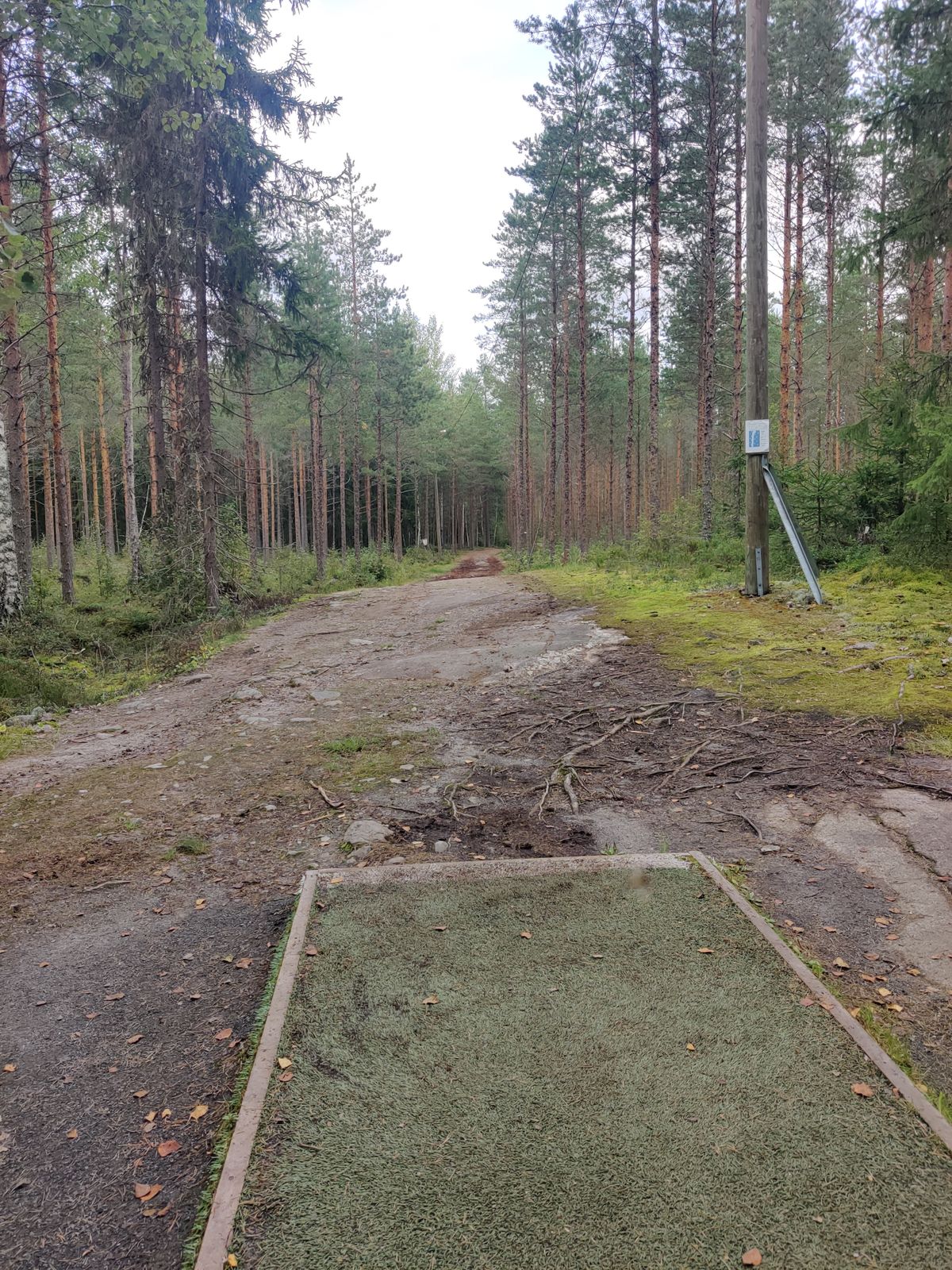 Väylä #5