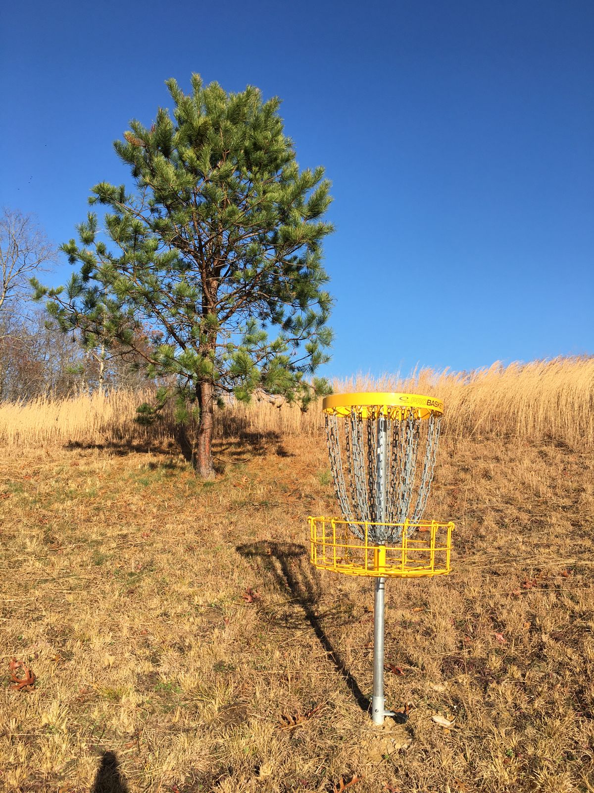 Most holes are open hillsides and fields adjacent to woods.