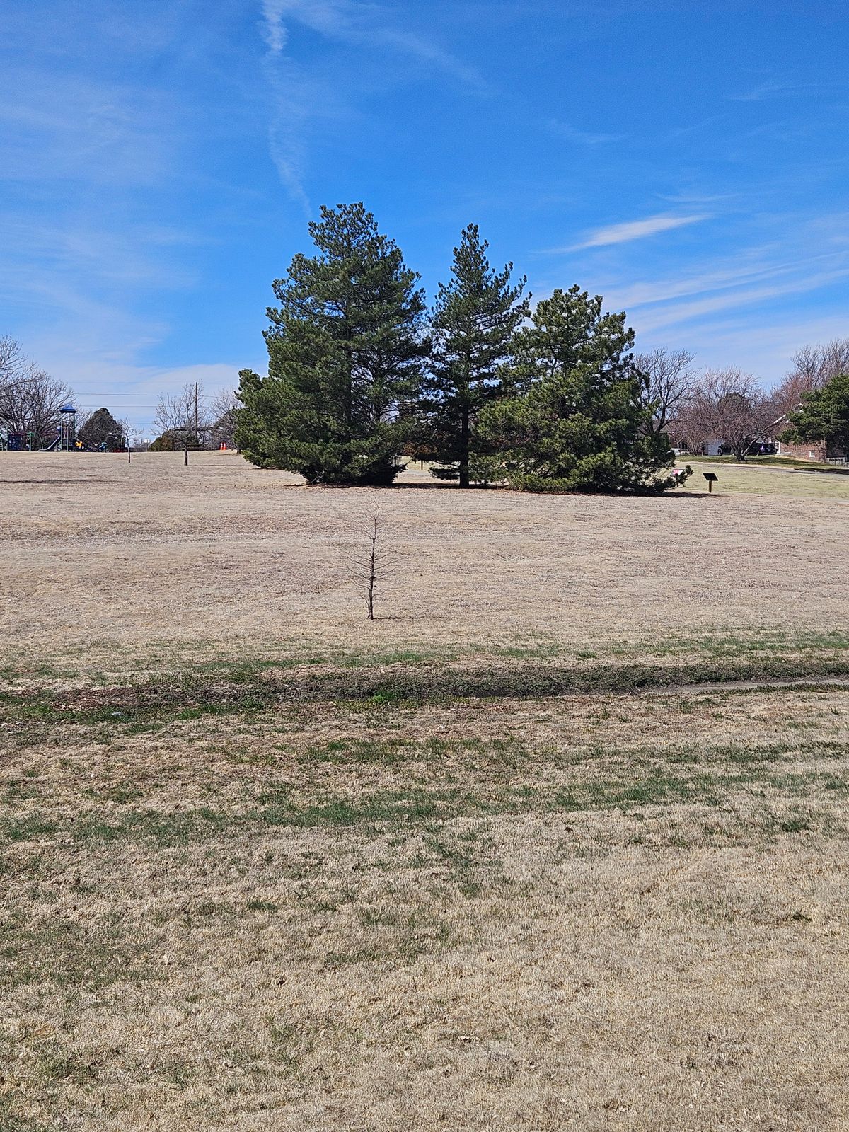 #8 fairway