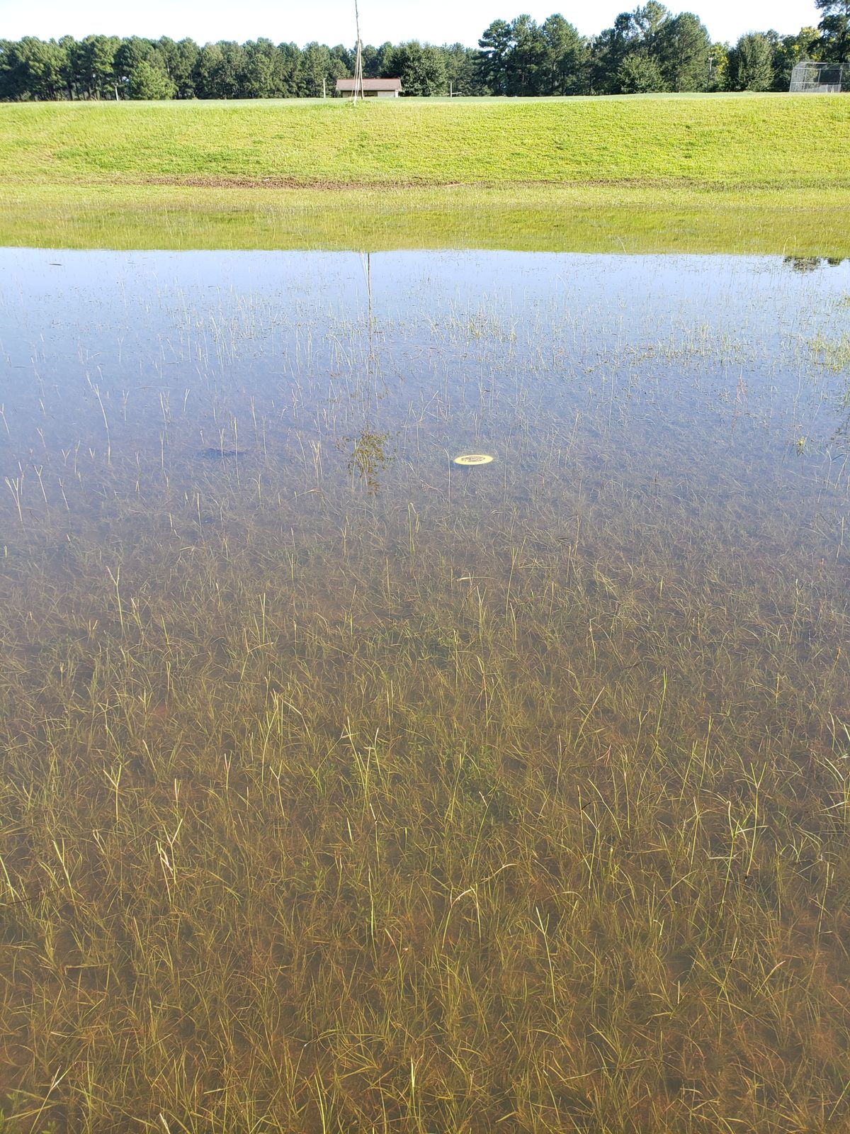 Water hazard!