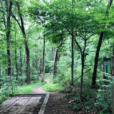 Hole 16