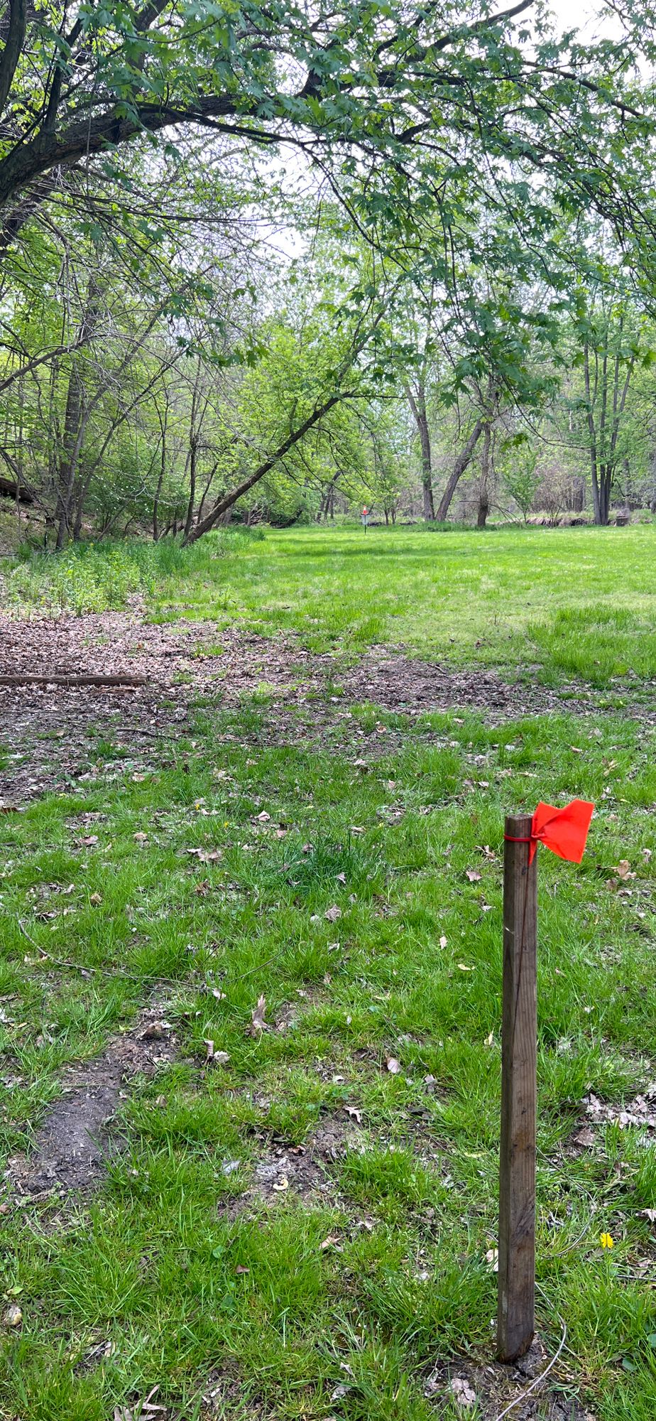 Hole 5