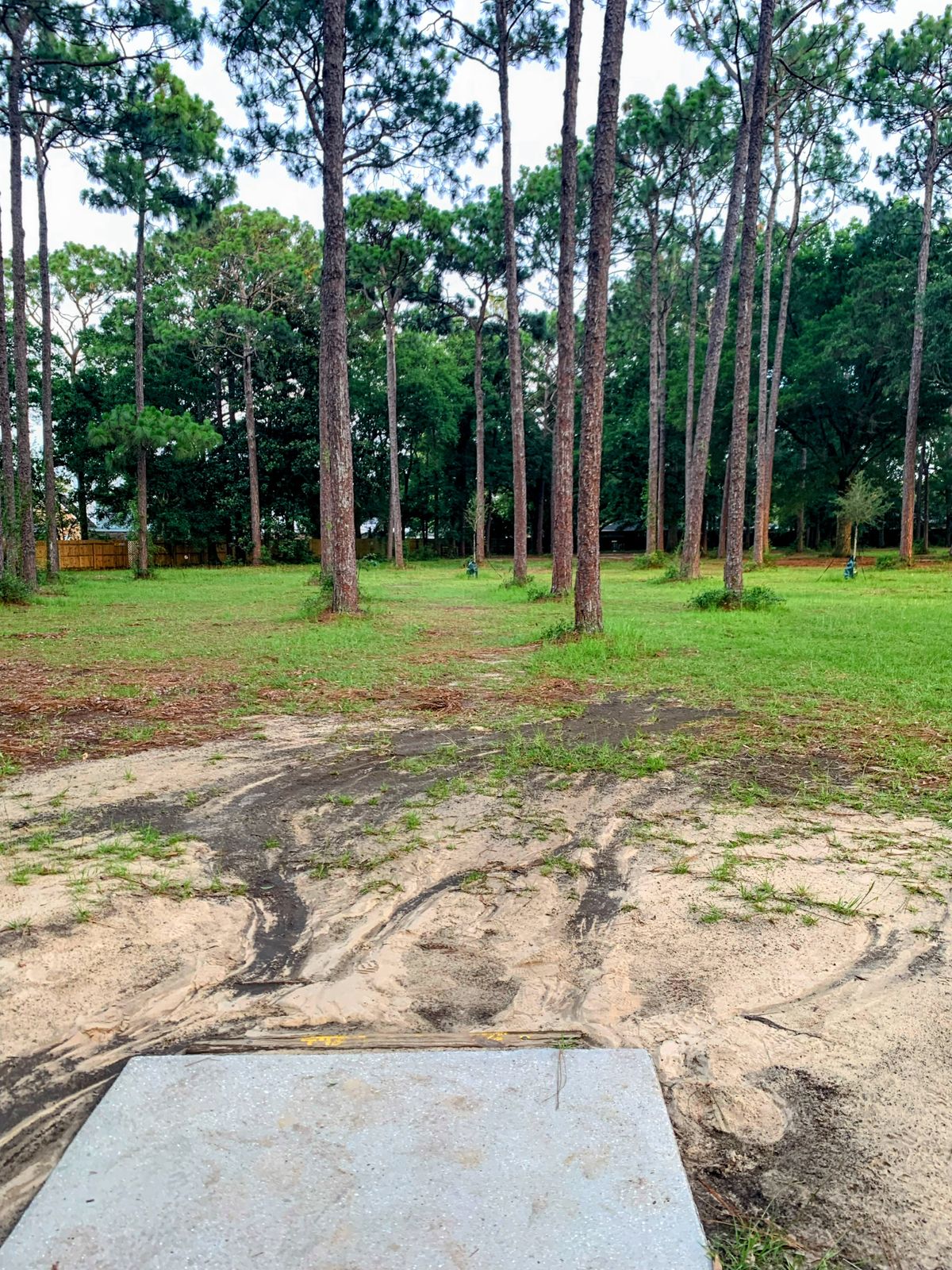 Hole 6, 310ft, par 3