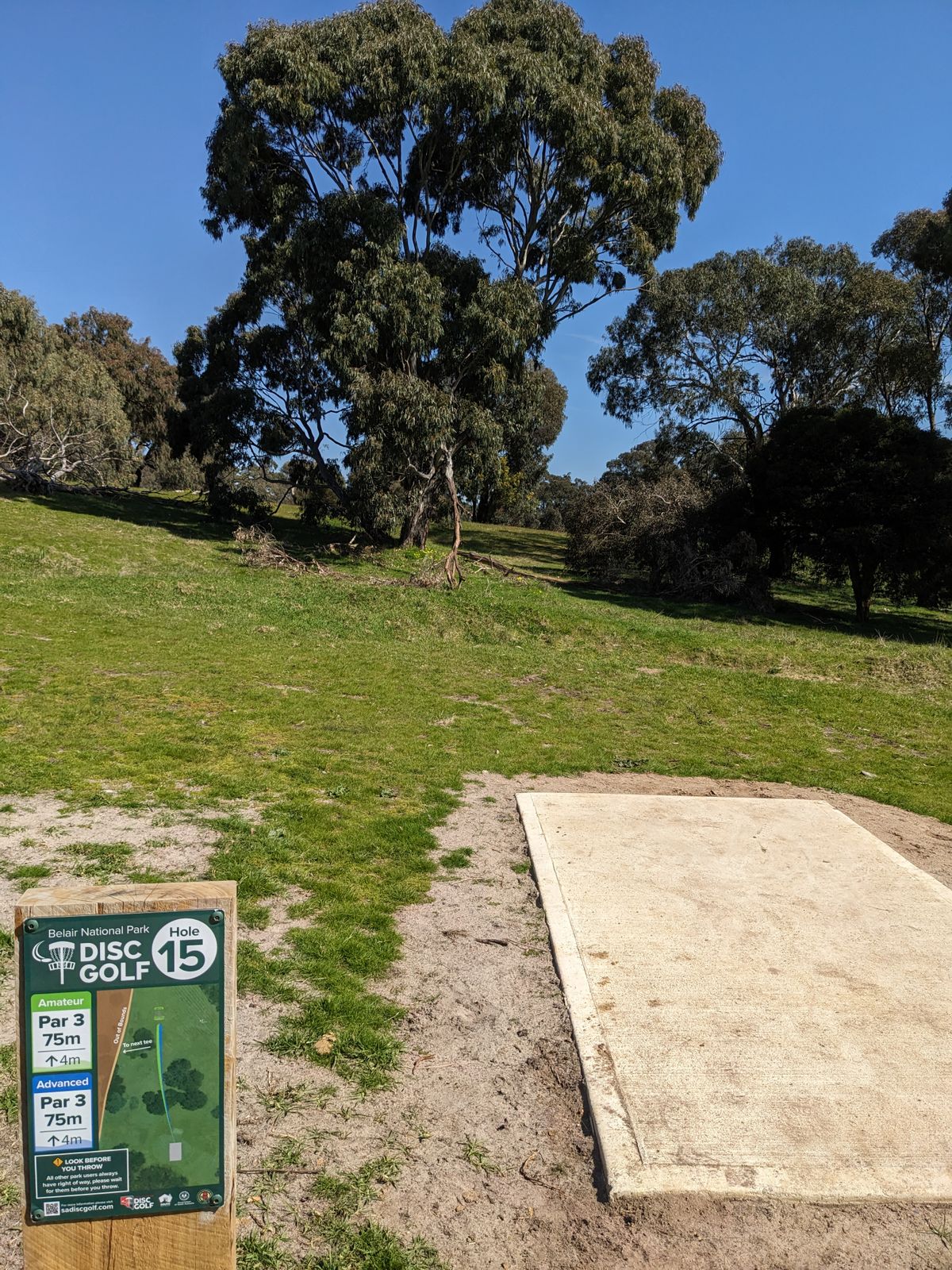 Hole 15