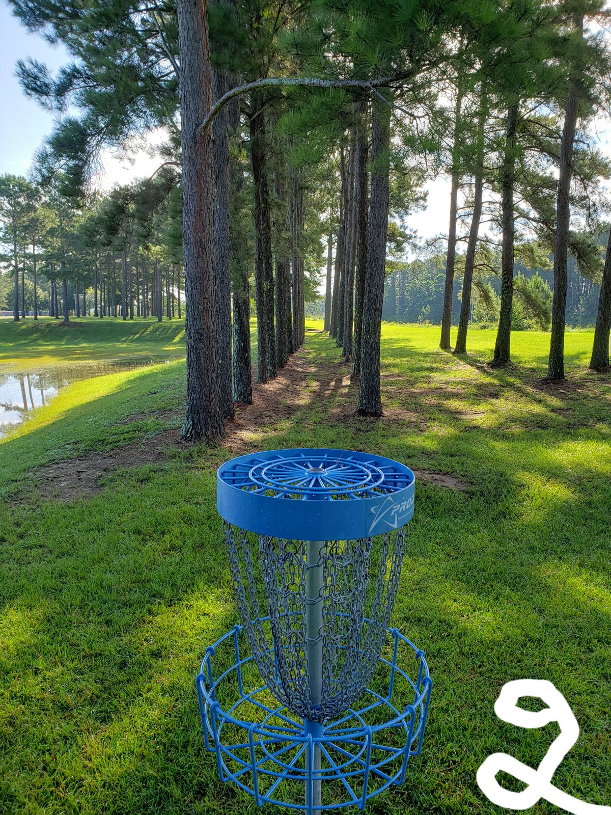 #2 Blue looking from Basket back to #2 Tee-Pad