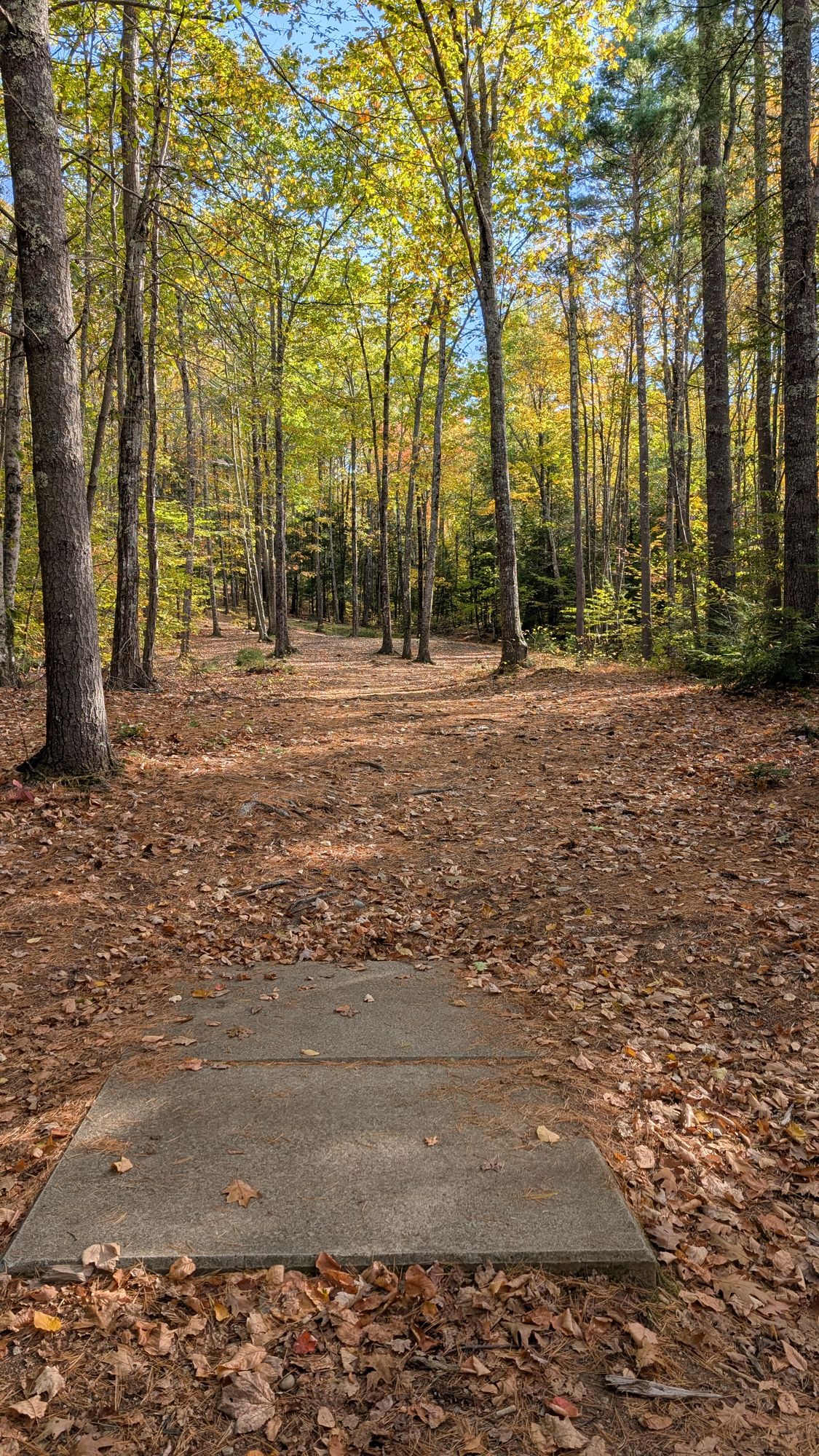 Hole 12 teepad