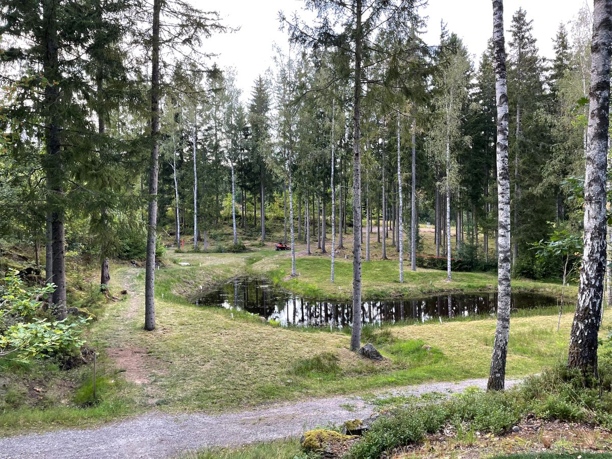 Nyklippt hål 4 (Vit tee)