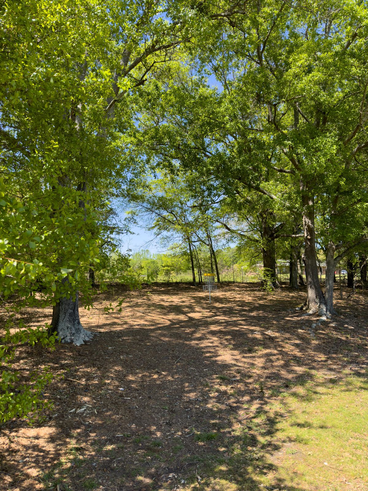 Hole 2 green