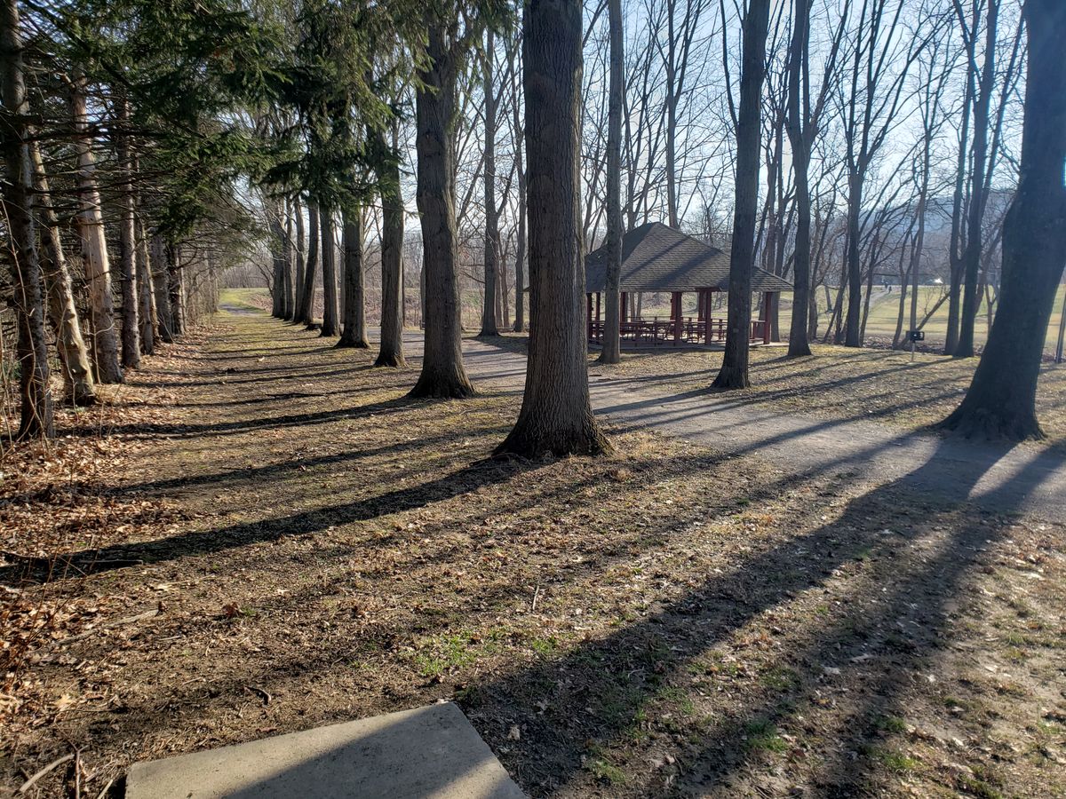 Hole 8