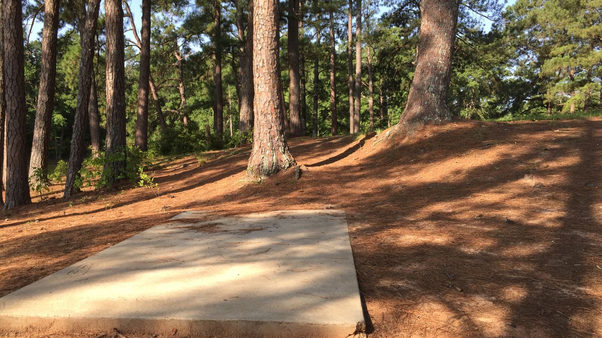 Hole 12