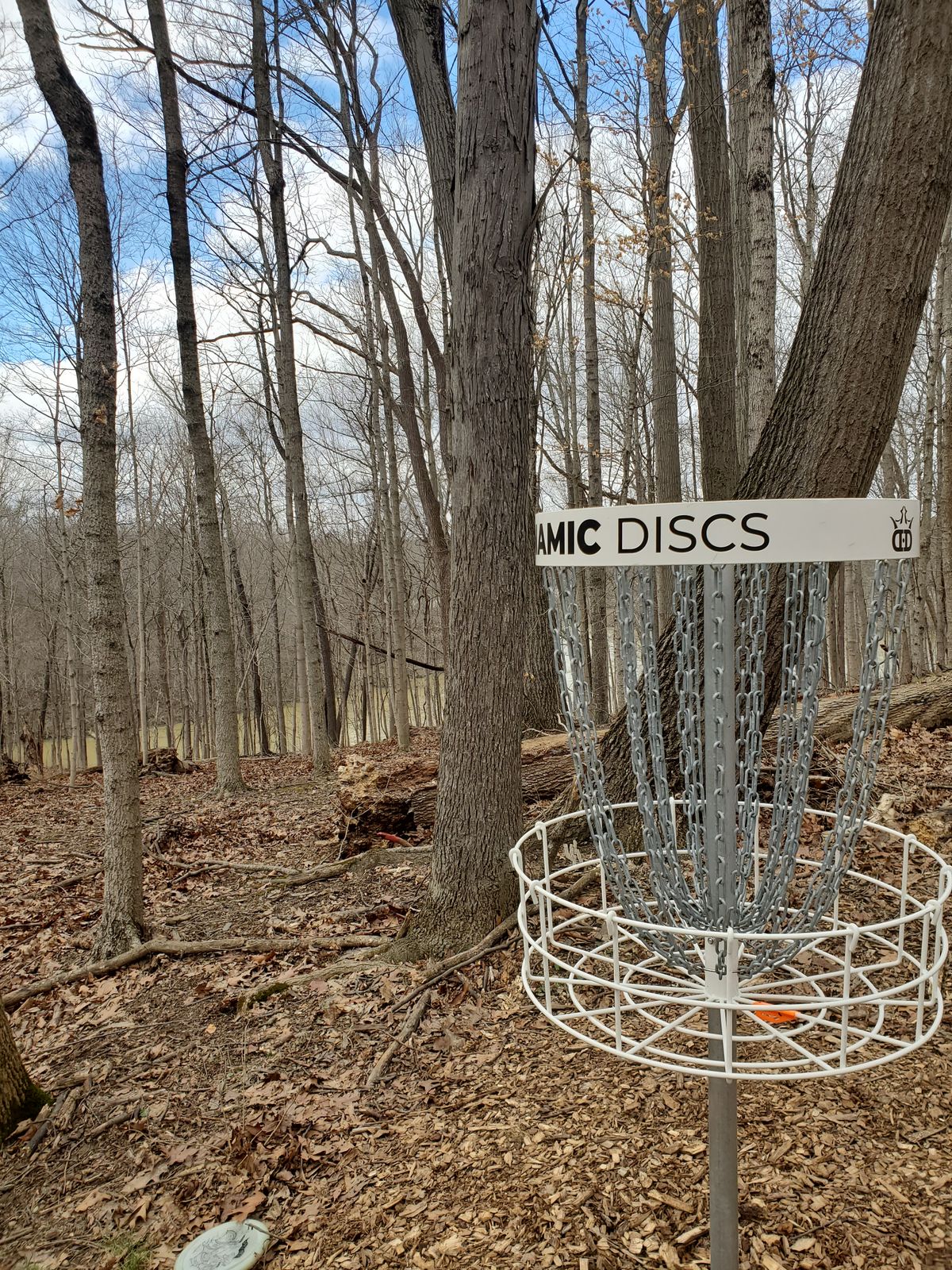 Hole 5 basket above the water