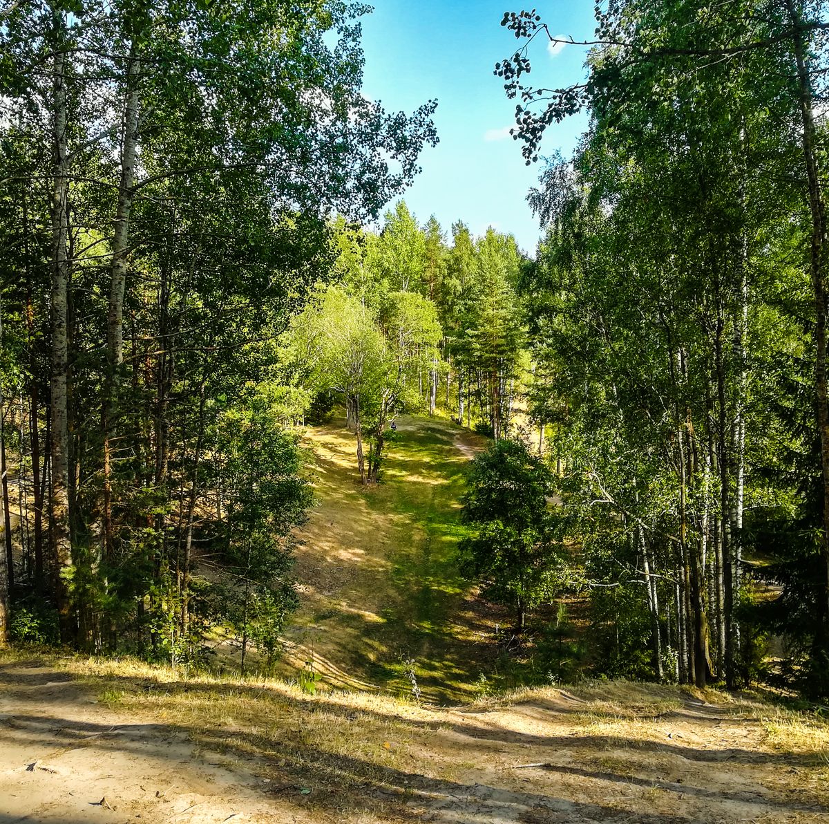 Kippis Pro 13 downhill
