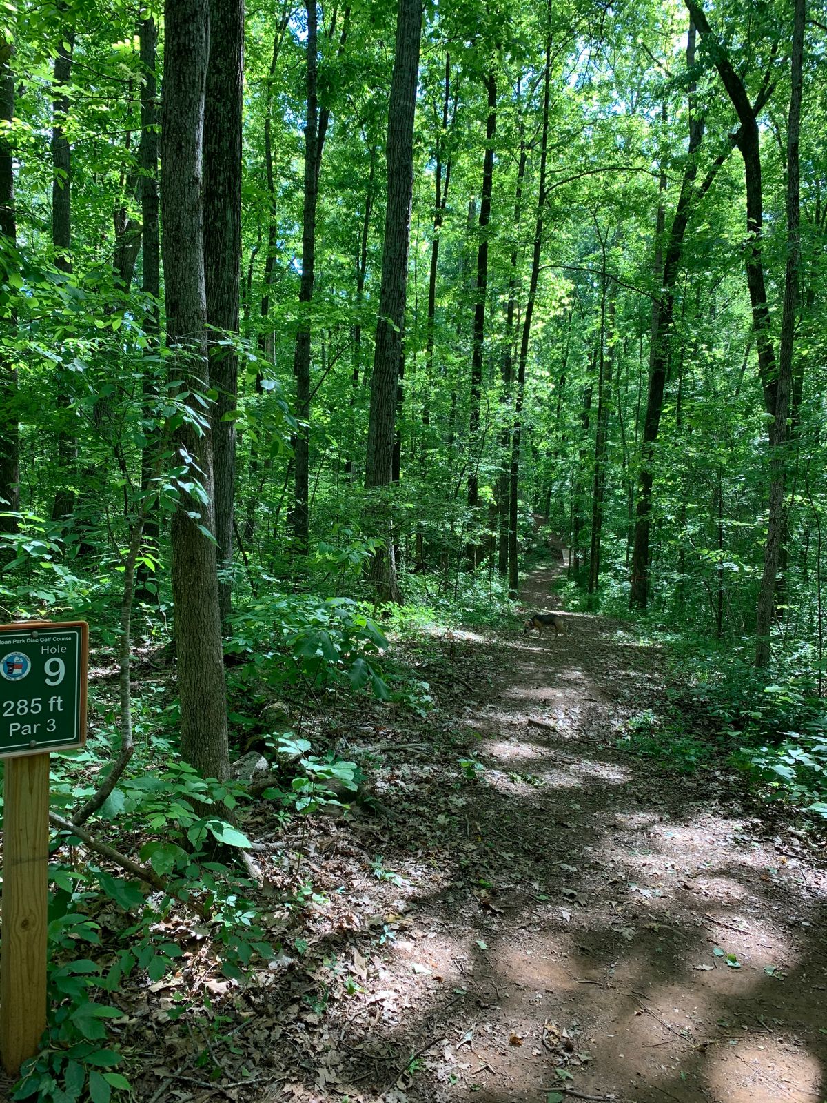 Hole 9 - Downhill, then back uphill.