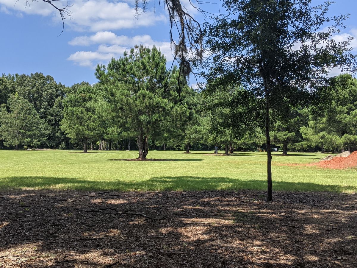 Hole 5 fairway looking back at the teepad