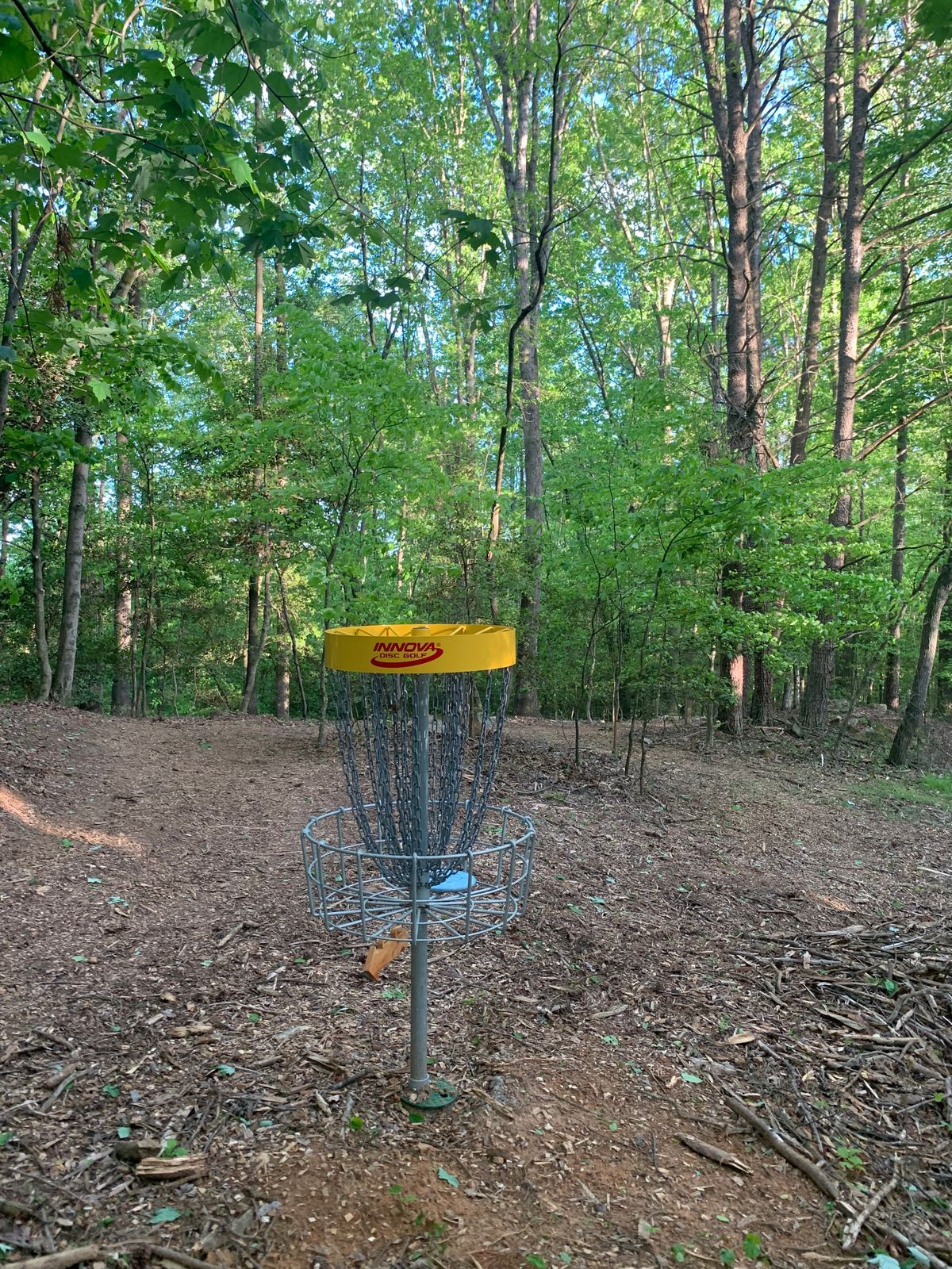 Basket Hole #4