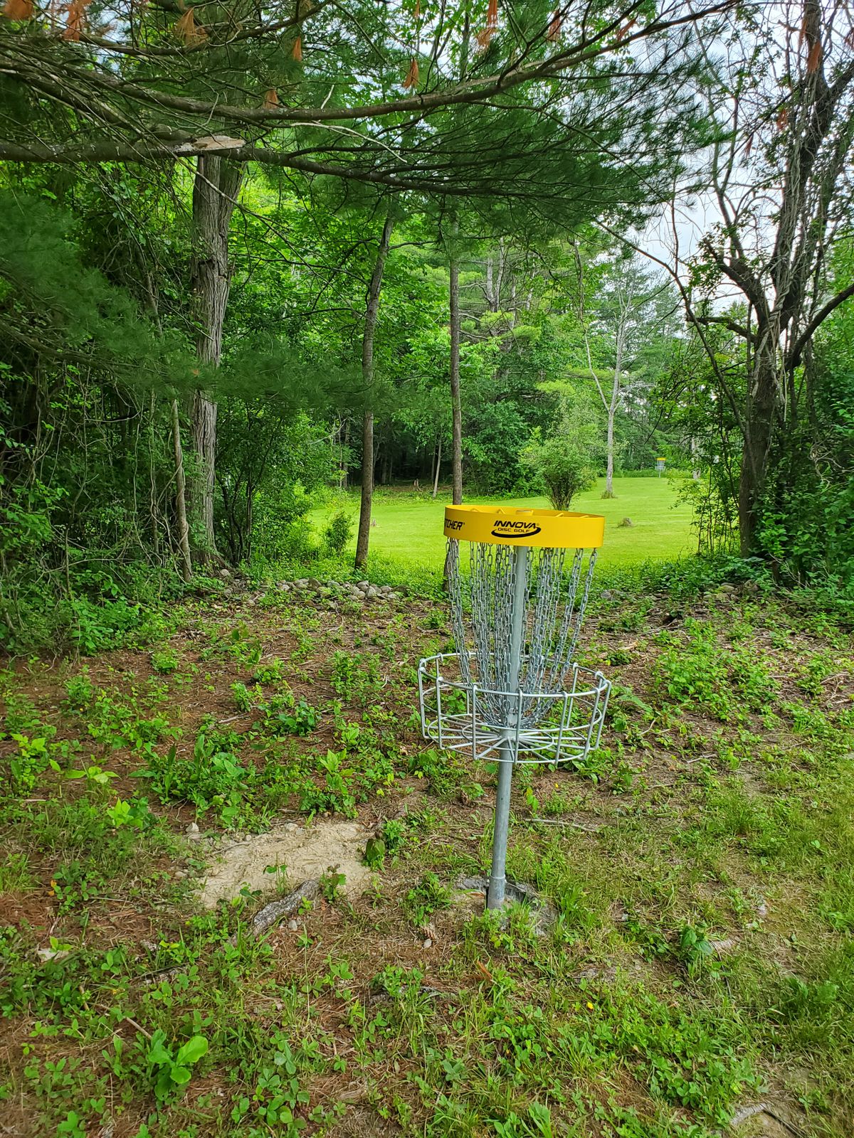 Hole 6 looking back at tees.
