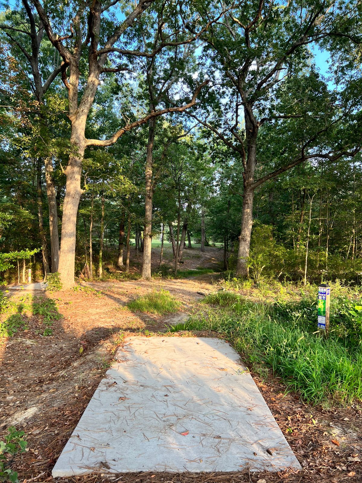 Hole 11 blue tee