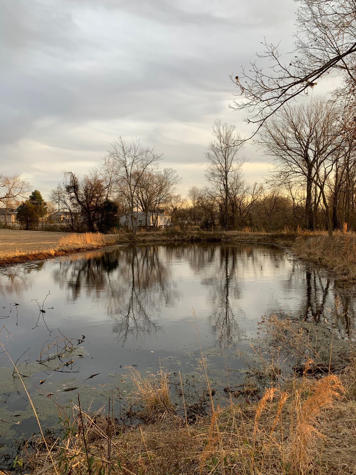 Infamous pond