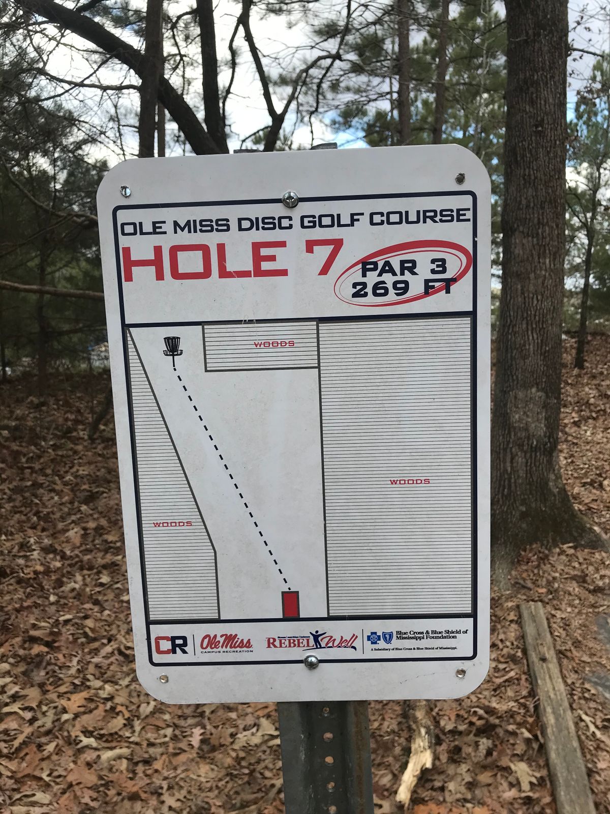 Hole 7