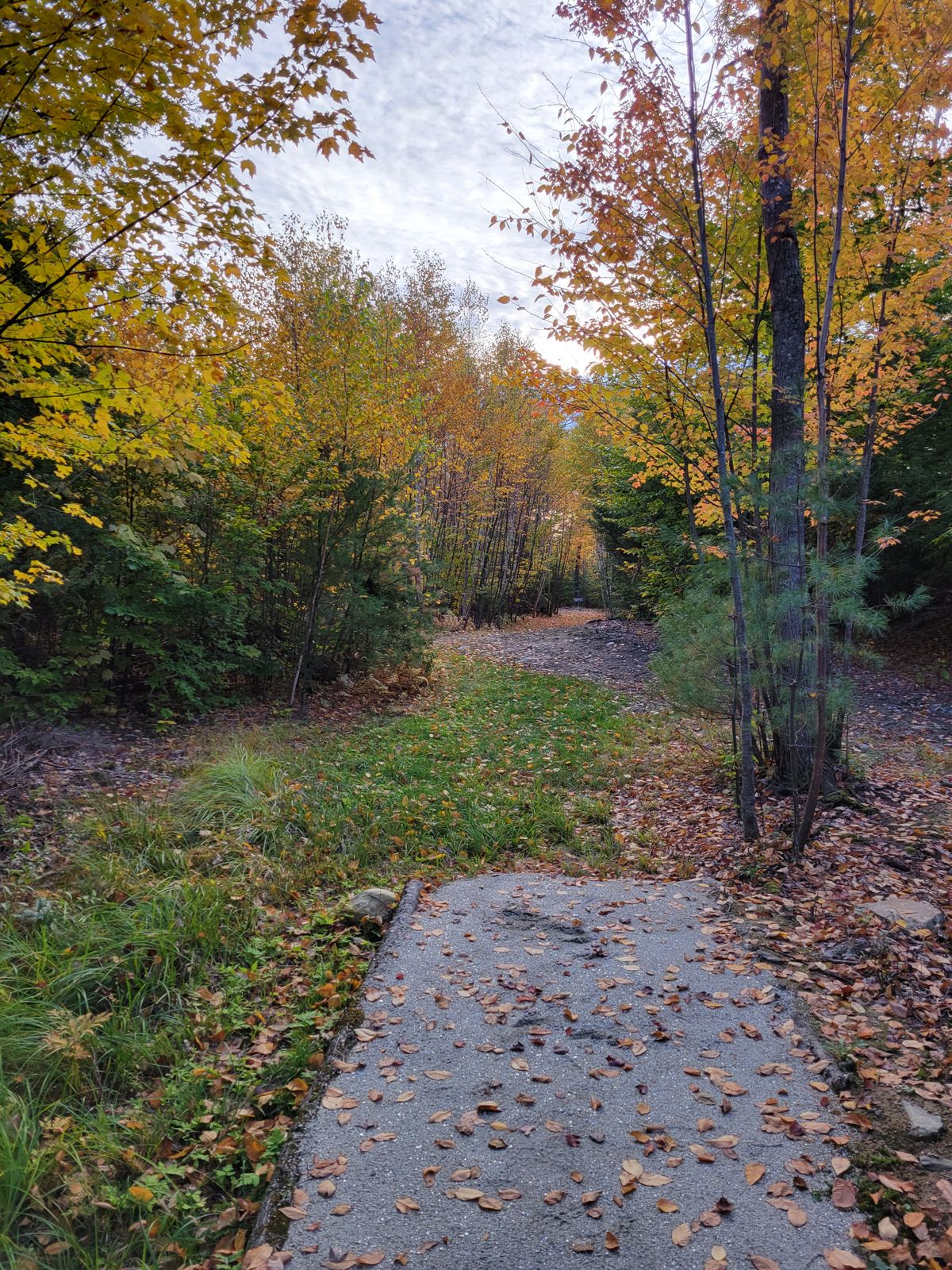 Hole 11 from the tee.
