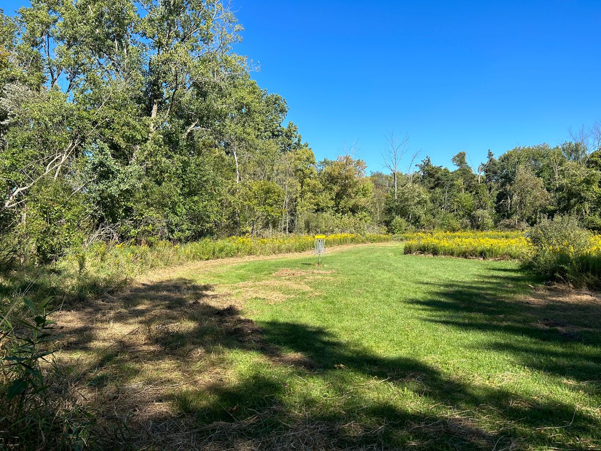Hole 7