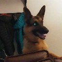 User avatar image