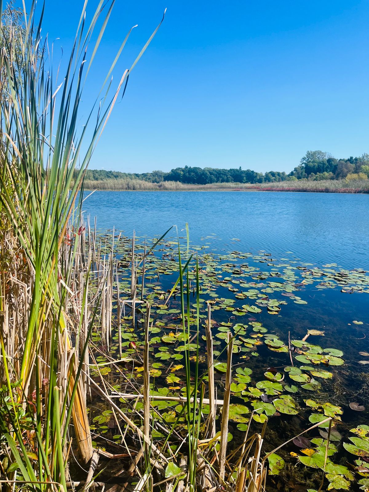 Buell Lake
