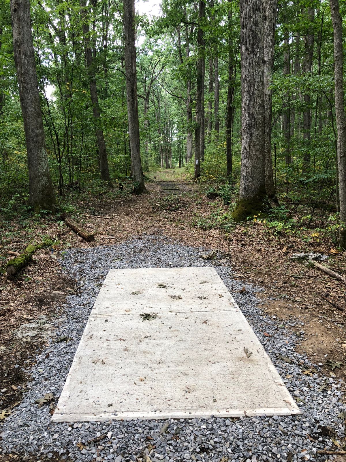 8 white
Par 4