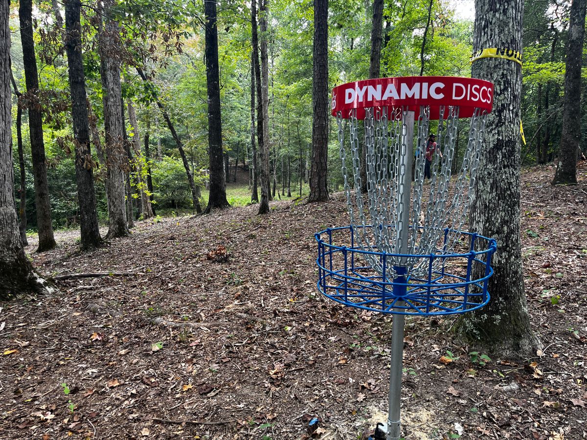 Hole 16 basket