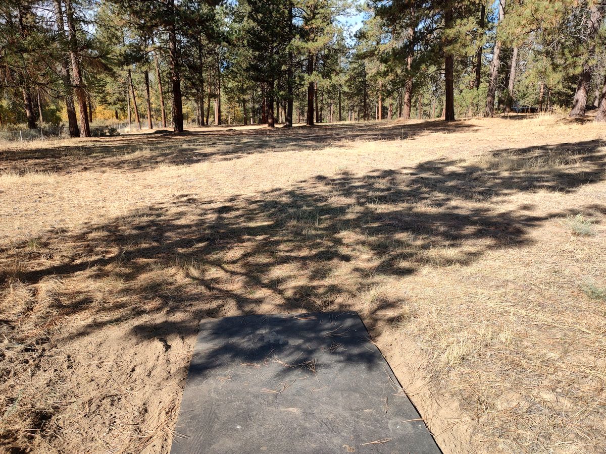 Hole 12 Tee.