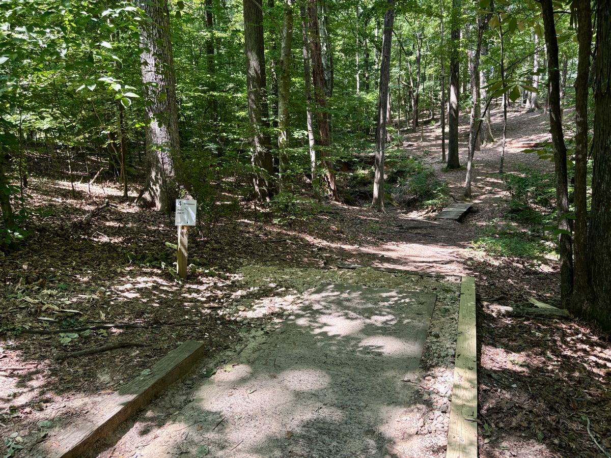 Hole 4 tee