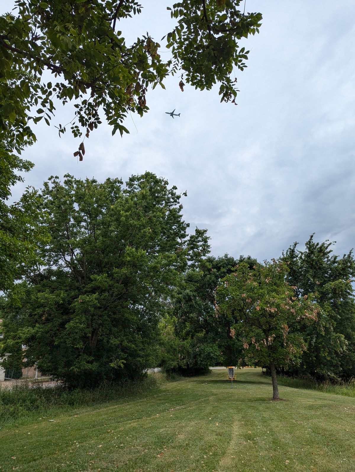 Plane flying over head on hole 8
